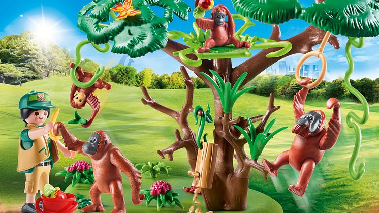 Orang Utans im Baum (70345)