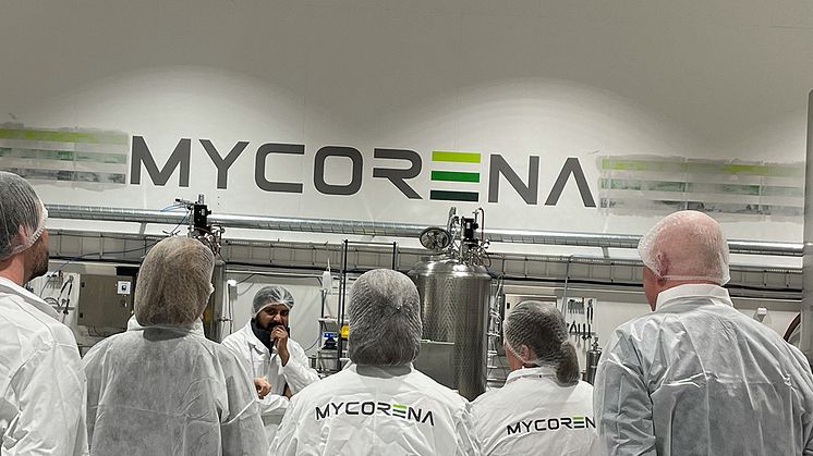 tillverkning promyc