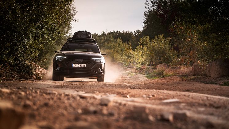 Audi Q8 e-tron edition Dakar