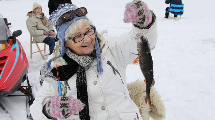 Ingegerd Nordin blev överlycklig över sin abborre som hon fick när de var och pimplade på Bodaträsket utanför Skellefteå.