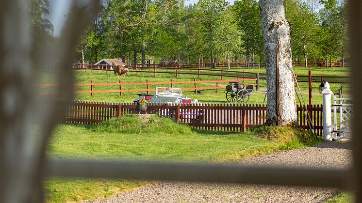 Veteranfordon på gårdsplan
