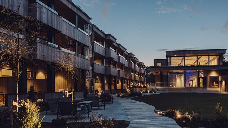 Spaet och trädgården höstkväll 2022