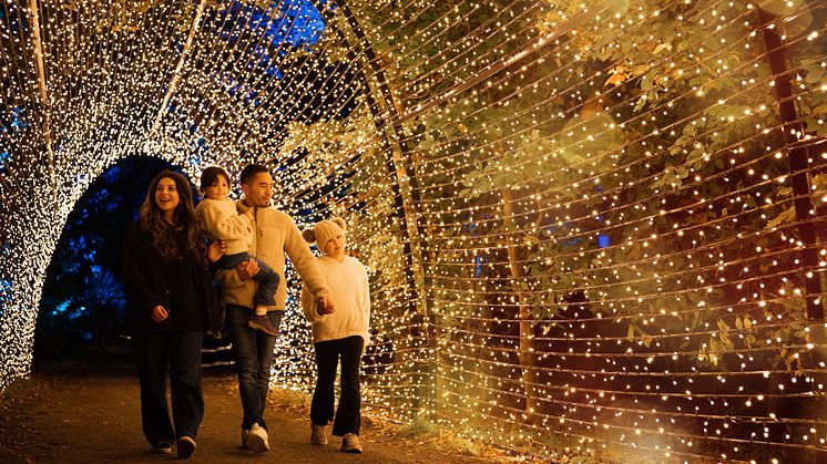 Biggy x Winter Lights-9.1 (1)