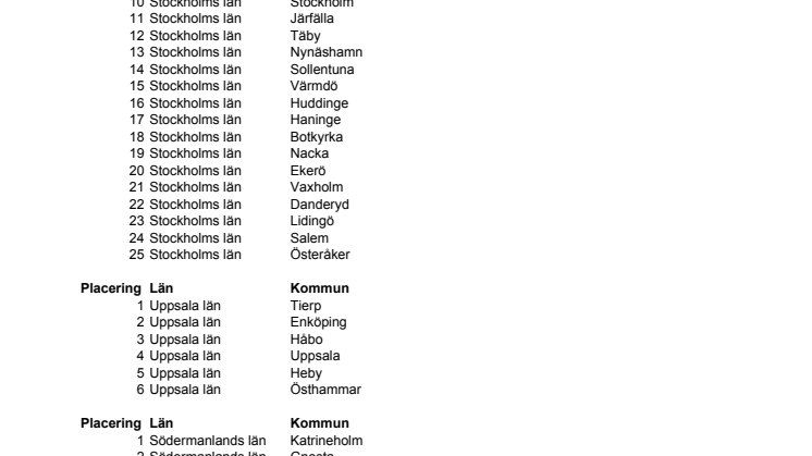 Syna Bästa Tillväxt 2008
