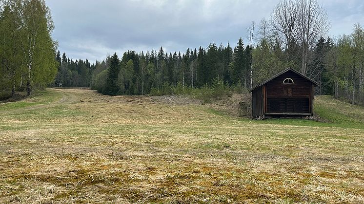 Första backen  Sälen 2023_05_23