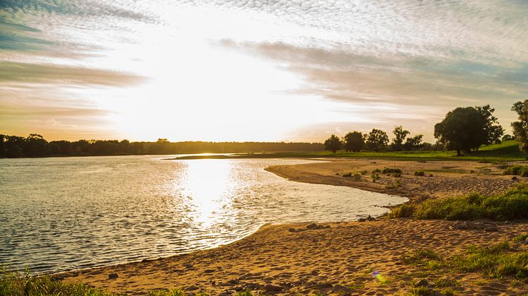 Fast wie am Mississippi : Das Biosphärenreservat Flusslandschaft Elbe-Brandenburg