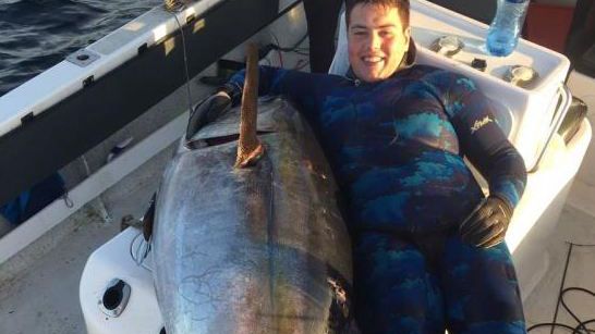 High res image - Raymarine - Fish Tales
