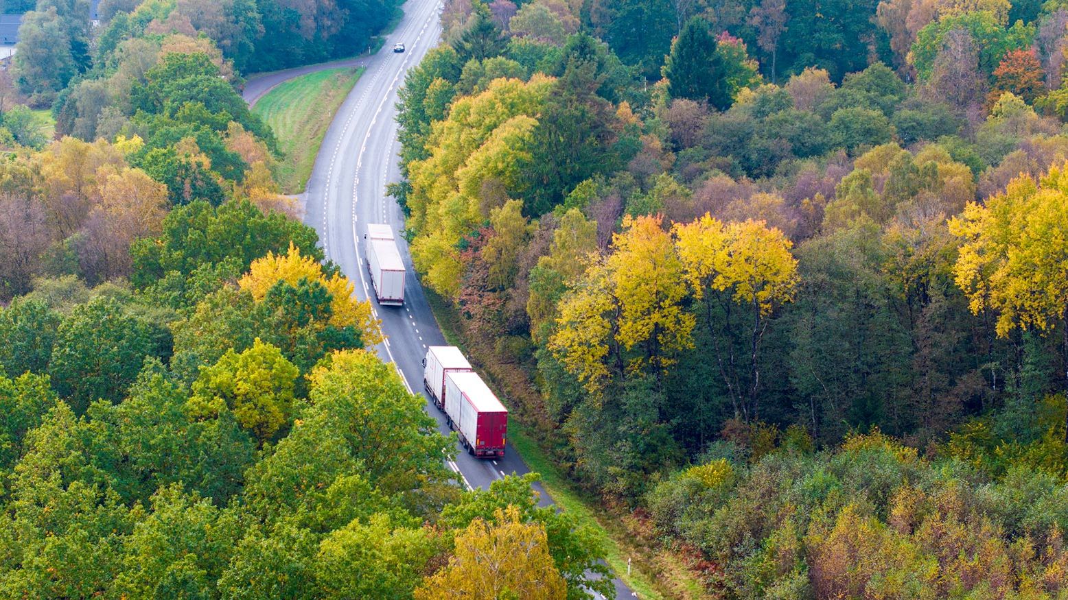 Var tioende bolag i transportsektern äger minst en ellastbil