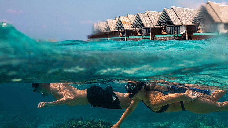 Snorkling korallrev