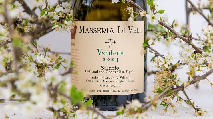 Masseria Li Veli Askos Verdeca 2024 – ny årgång av en hyllad raritet från Apulien. 
