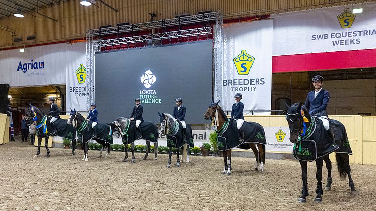 De 6 finalisterna samlade