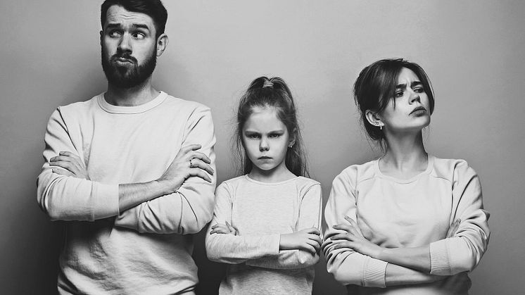 - vägledning genom epistemiskt förtroende