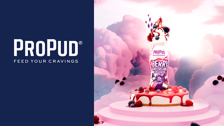 Nya ProPud Berry Cheesecake Milkshake