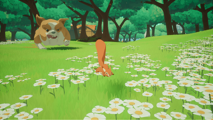 image2.png