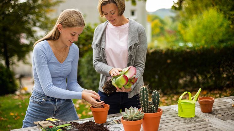 Torffreie Bio-Erde für Kakteen und Sukkulenten