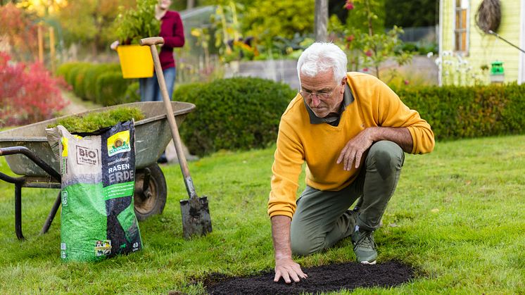 Die torffreie NeudoHum RasenErde sorgt für schnelles Sprießen der Rasensamen. 