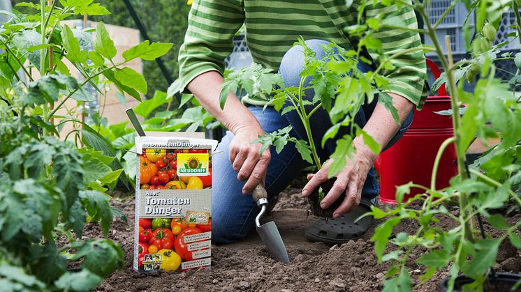 Neudorff Azet TomatenDünger_25-01.jpg