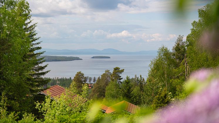 Rekordstor återinvestering: 8,8 miljoner kronor till bygden