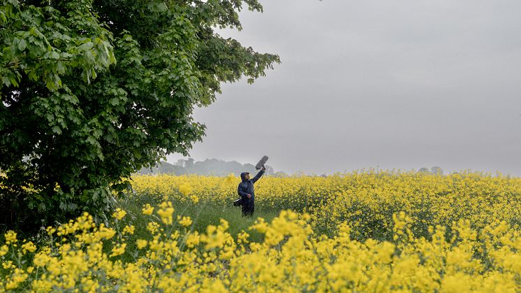 Vi mäter skånskt lugn. Sverige och Skåne har betydligt fler stillsamma platser än andra europeiska länder. Tystnad rankas som en av de främsta anledningarna till varför danska och tyska besökare väljer att semestra här. Foto: Apelöga