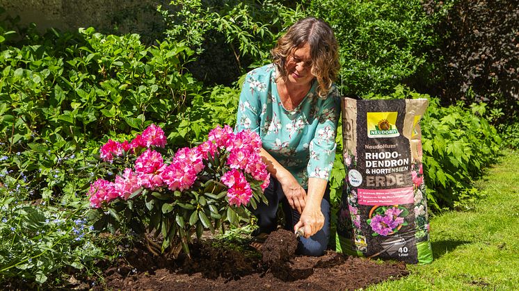 NeudoHum Rhododendron- und HortensienErde enthält vor allem schnell nachwachsende Rohstoffe wie Grünschnittkompost aus heimischer Produktion sowie Holz- und Kokosfasern.