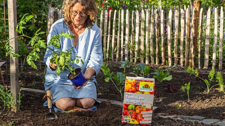 Neudorff Azet TomatenDünger (2)_25-01.jpg