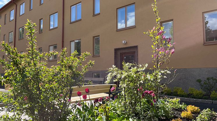 Solig gård med blommande rabatter, gröna buskar och röda tulpaner framför ett trevåningshus i putsad fasad. I bakgrunden 