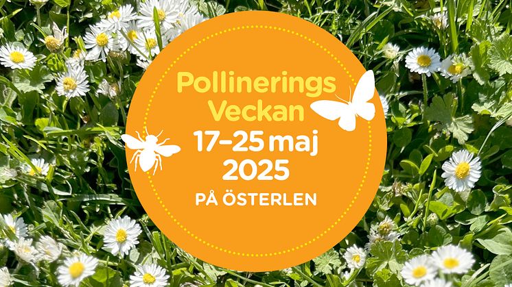 Pollineringsveckan på Österlen 17–25 maj 2025.