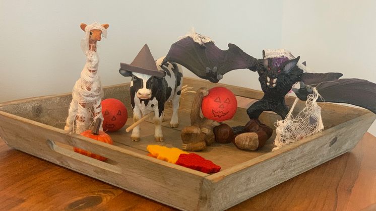 Deko_Schale_Schleich