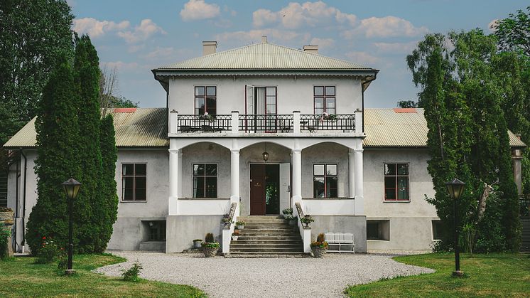 Grå Gåsen