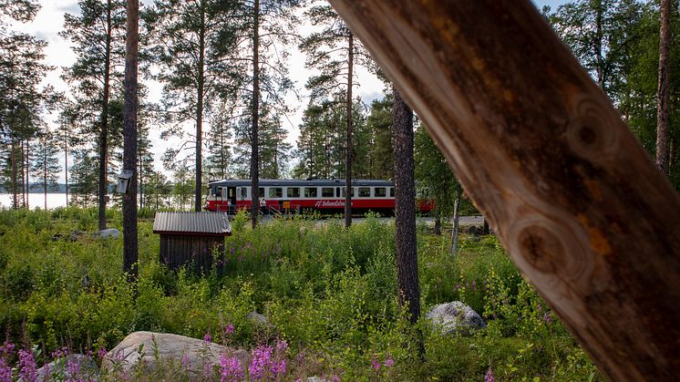 Inlandsbanan stannar för matstopp hos prisbelönta Bergmans fisk och vilt i Vilhelmina