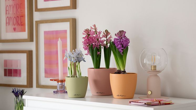 Mit Trendfarben in den Frühling: Frische Deko mit Frühjahrsblühern