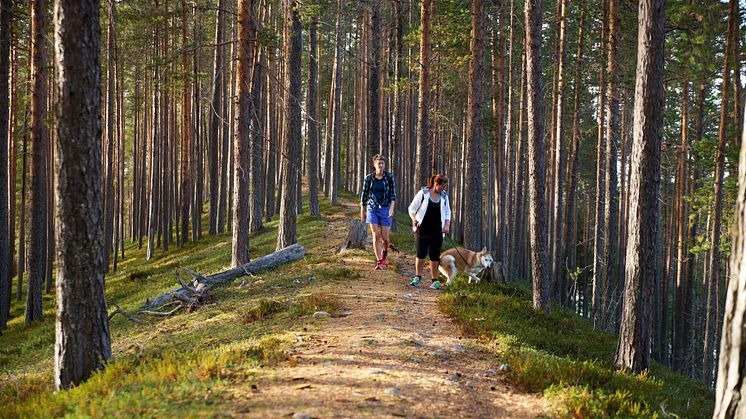 Isälvsleden - 14x21 med fotograf.jpg