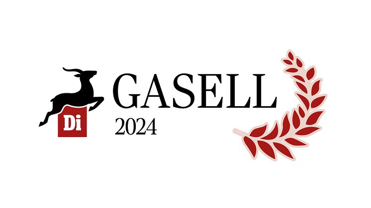 DI Gasell 2024