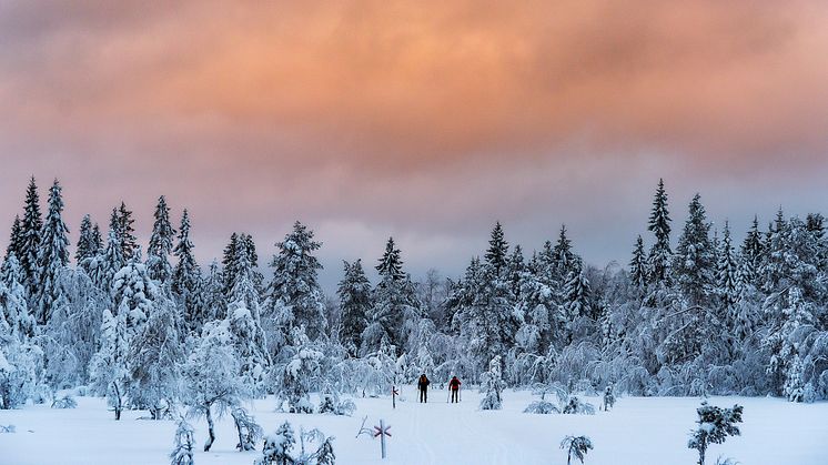 VÄLKOMMEN 2023 - året då vi tar Höga Kusten - en nivå till !