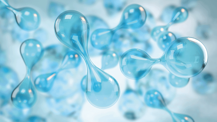 Copyright: Swen Gottschall/DIE GAS- UND WASSERSTOFFWIRTSCHAFT