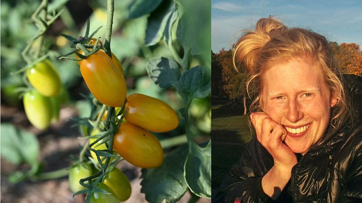 Vi vill leda branschen till rätt målsättningar, säger Annie Svensson, Greenfood. 