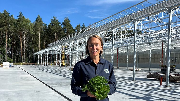 Svegros VD, Kristin Orrestig vid bygget av det automatiserade växthuset