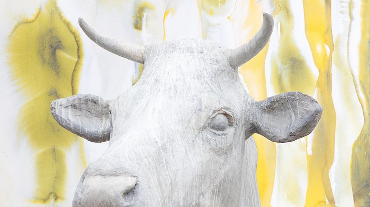 Vernissage: Sven-Ingvar Johansson – Naturens mystik