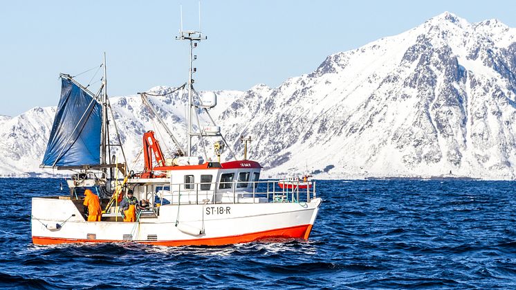Demand for transparency is paving the way for producers to harness innovative blockchain technology to build consumer trust and offer a clearer picture of the seafood supply chain.