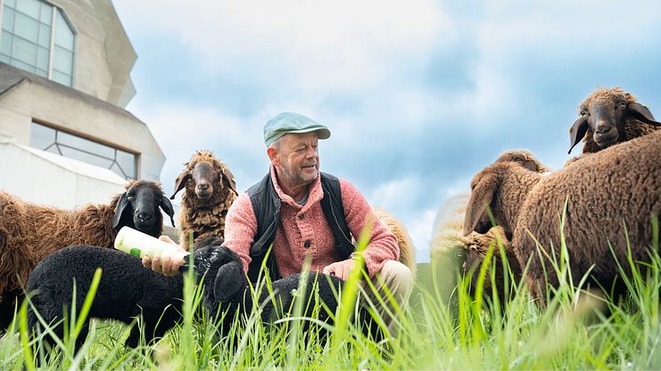 Beziehung Mensch und Tier im Goetheanum Gartenpark (Foto: Xue Li)