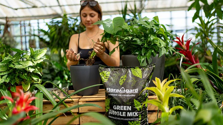 Floragard Green Jungle Mix_Anwendung.jpg