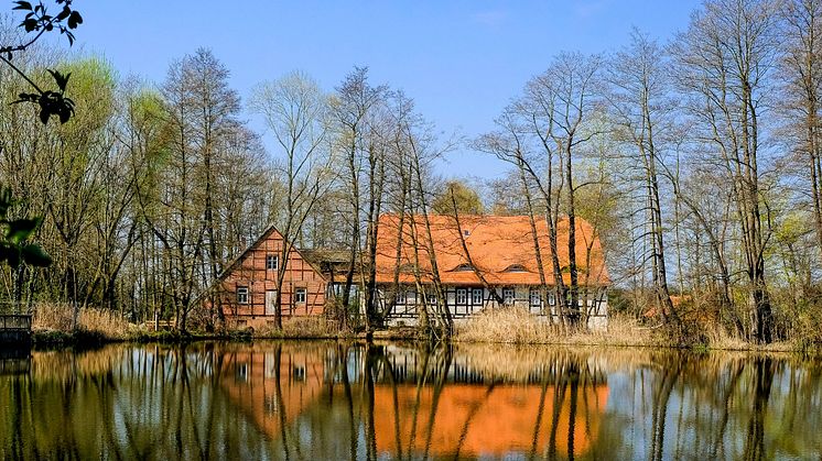 Mühlentag Eröffnung an der Obermühle Bad Düben - Foto: Verein Mühlenregion Nordsachsen e.V.