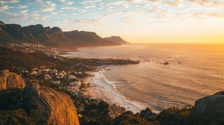 Preparing for the Nature Transition: Practical Insights from African Businesses