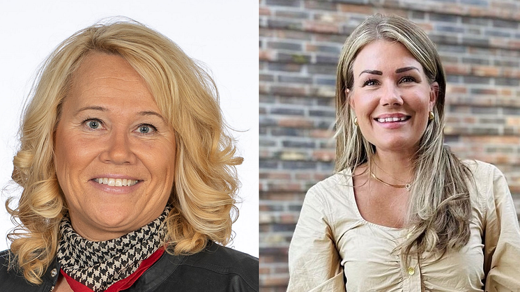 Krönika: Tomten måste vara både miljöbov och frälsare 