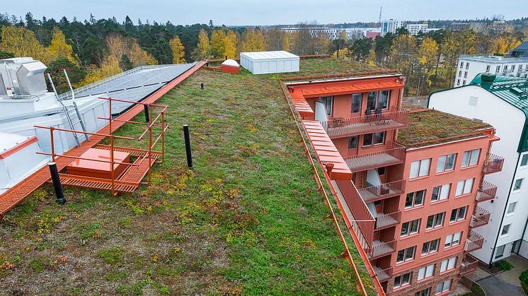 Solceller och sedumtak på kvarteret Docenten i Uppsala. 