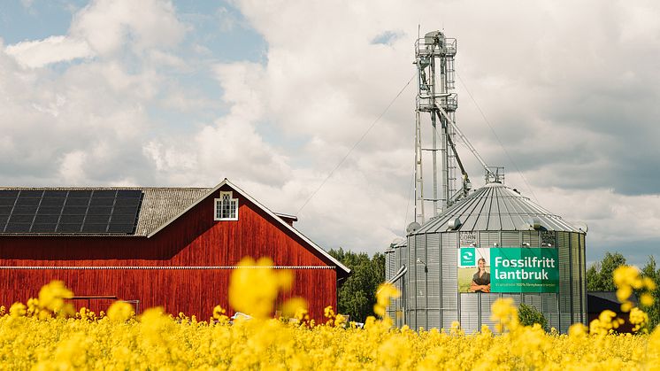 Tillsammans med Yara är Energifabrikens sikte inställt på att producera biodrivmedlet rapsmetylester (RME) tillverkad av fossilfritt odlad raps.