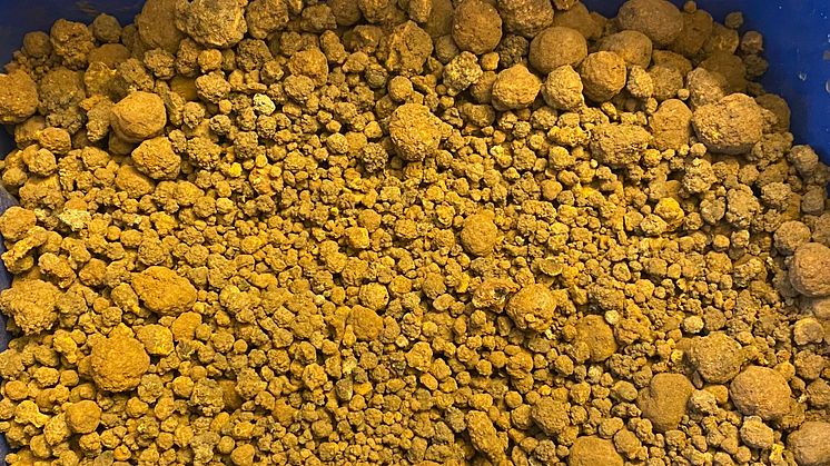 Scandinavian Ocean Minerals tar nästa kliv – beviljas tillstånd för vidare undersökningar i Bottenviken