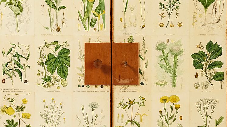 Succéresultat för Moderna & Nutida – och nytt rekordpris för ”Floraskåpet” av Josef Frank