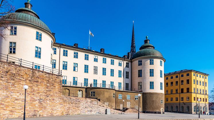 Att domstolarnas digitala tjänster ligger nere är en säkerhetsfråga, säger jur. kand. Giedre Jirvell, expert inom mark- och miljörätt.