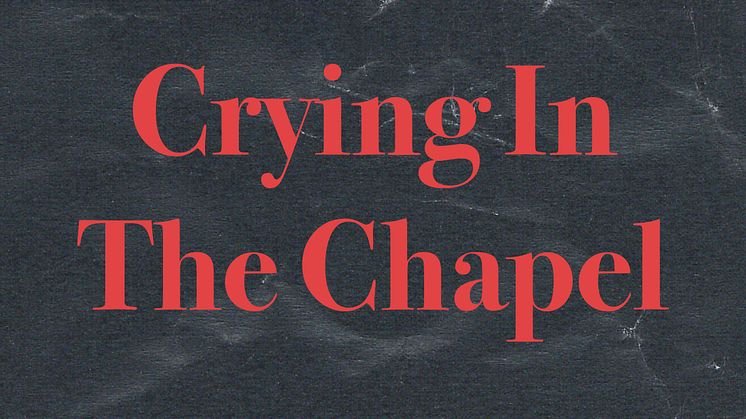 Exploring vanity, painting, and evidence in three BFA practices